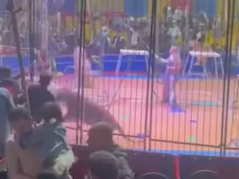 بسبب الإهمال والرعونة.. ”جنح طنطا” تحدد أولى جلسات محاكمة ”كوتة” في واقعة سيرك طنطا
