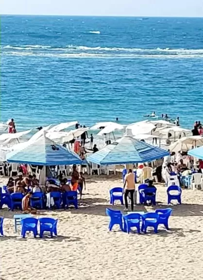 محافظة الإسكندرية تطرح استغلال 3 شواطئ بالمزايدات العلنية