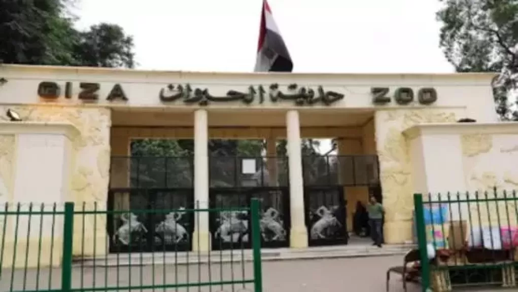 إعادة افتتاح حديقة الحيوان بالجيزة  في سبتمبر 2025 بعد تطوير شامل