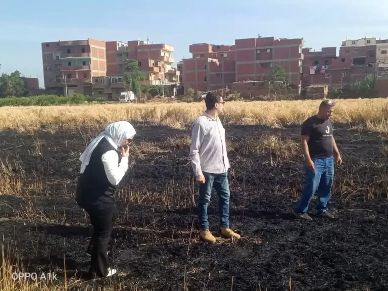 حريق محصول قمح في أرض زراعية بقرية اصطباري بالمنوفية