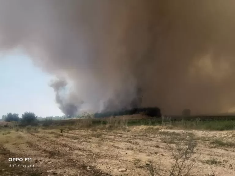 الدفع بسيارات الإطفاء.. نشوب حريق داخل الغابات الشجرية في الجبلاو بقنا