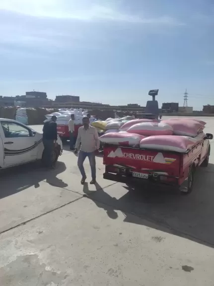 محافظ البحيرة: توريد 121 ألف طن قمح محلى إلى الشون والصوامع