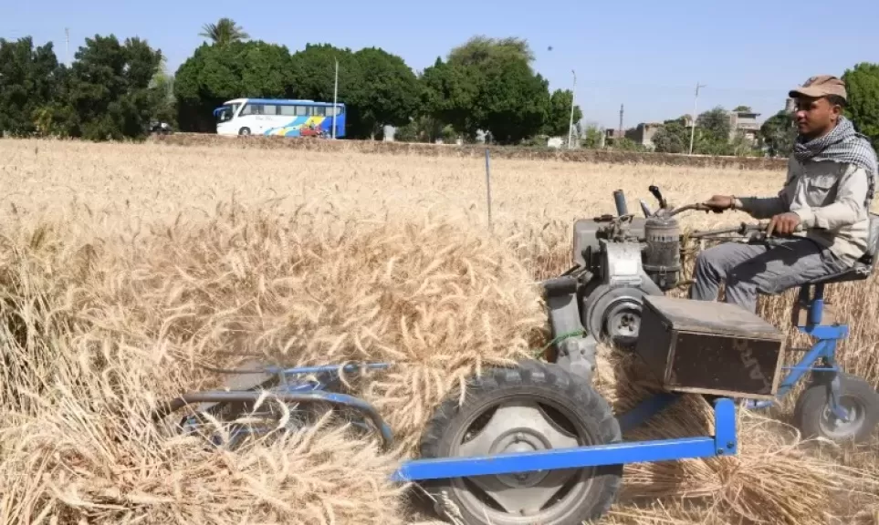 ”الزراعة” تعلن الانتهاء من حصاد 2.4 مليون فدان منزرعة بالقمح حتى الآن