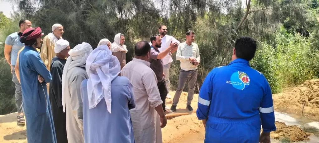 رئيس مياه القناة: استخراج جذور الأشجار من شبكات قرية ميت ابو الكوم شرق الإسماعيلية