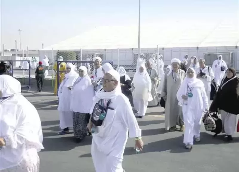 وصول 4000 حاج.. رئيس بعثة الحج الرسمية: بدء توجيه الرحلات لمكة المكرمة