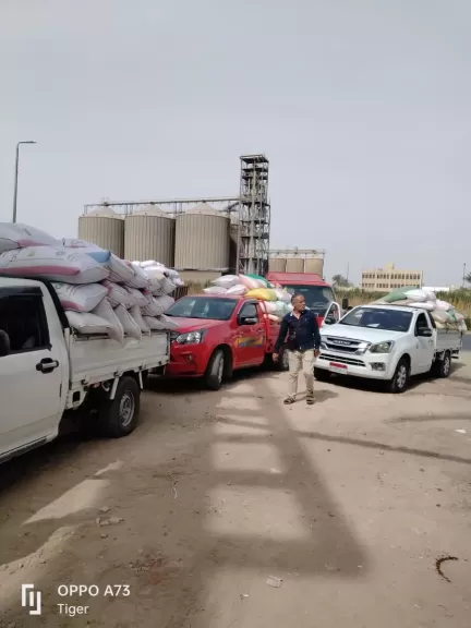 محافظ البحيرة: توريد 200 ألف طن قمح محلى إلى الشون والصوامع