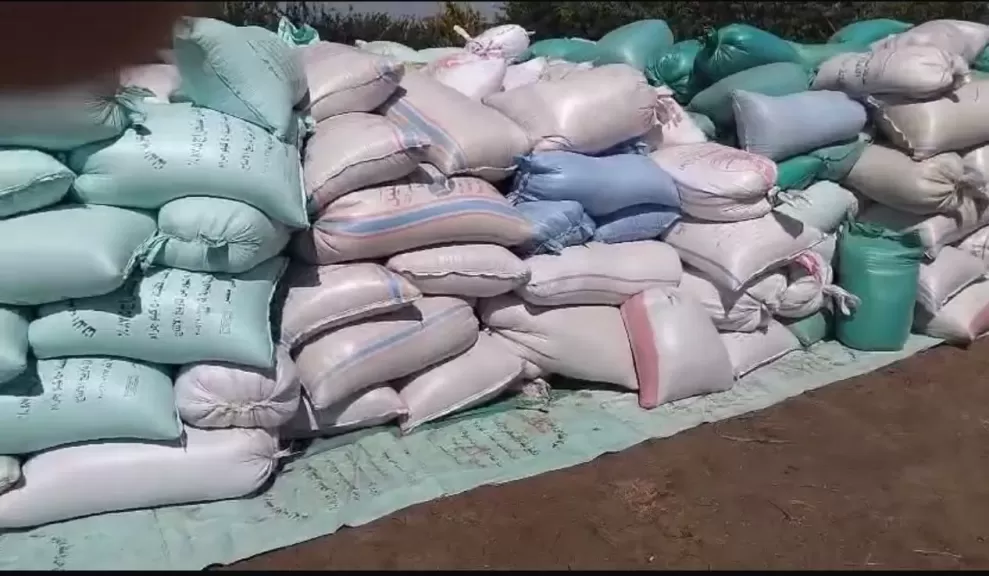 ضبط 30 طن أسمدة مدعمة محظور تداولها  و15 طن قمح بمخزن أعلاف في المنوفية