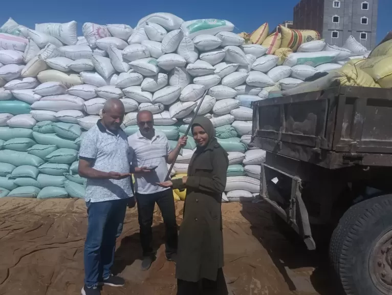 محافظ البحيرة: توريد 210 آلاف طن قمح محلى إلى الشون والصوامع