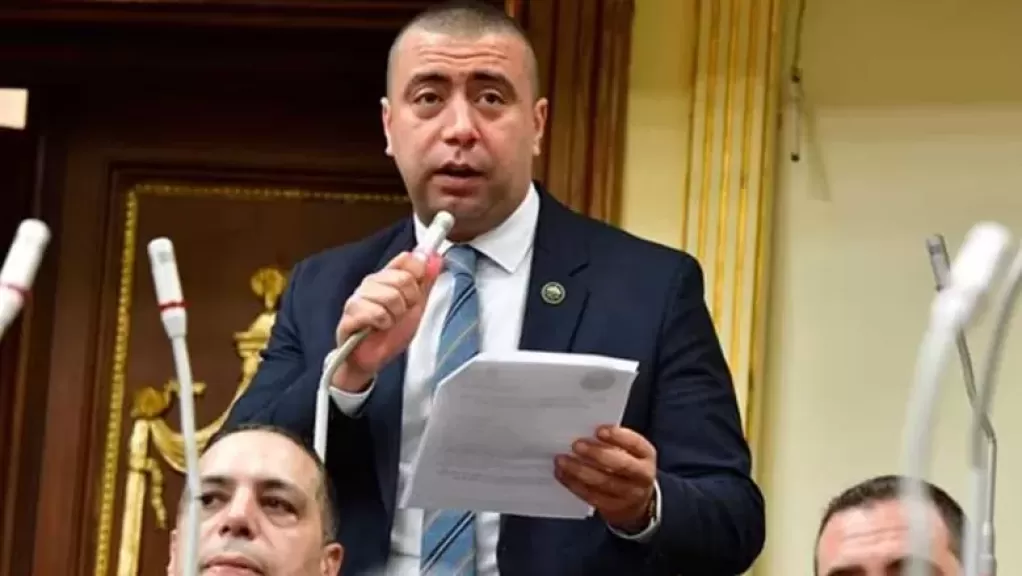 شلبي: تعديل قوانين الانتخابات هو استثمار مهم في مستقبل الديمقراطية وتحقيق العدالة الاجتماعية