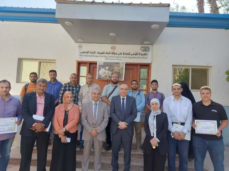 احتفالا باليوم العالمي للنحل.. ”وقاية النباتات” تنظم برنامج تدريبي حول تربية نحل العسل للمبتدئين