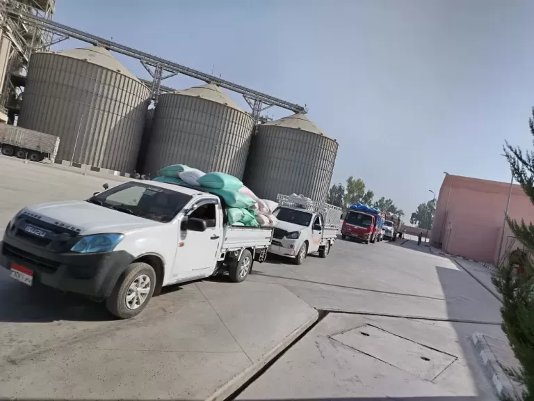 محافظ البحيرة: توريد 254 ألف طن قمح محلى إلى الشون والصوامع