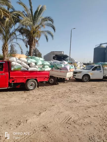 محافظ البحيرة: توريد 261 ألف طن قمح محلى إلى الشون والصوامع