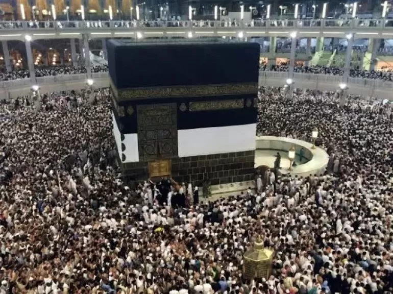غرفة شركات السياحة: التزام كامل بالضوابط وتدخل فوري لحل المشكلات