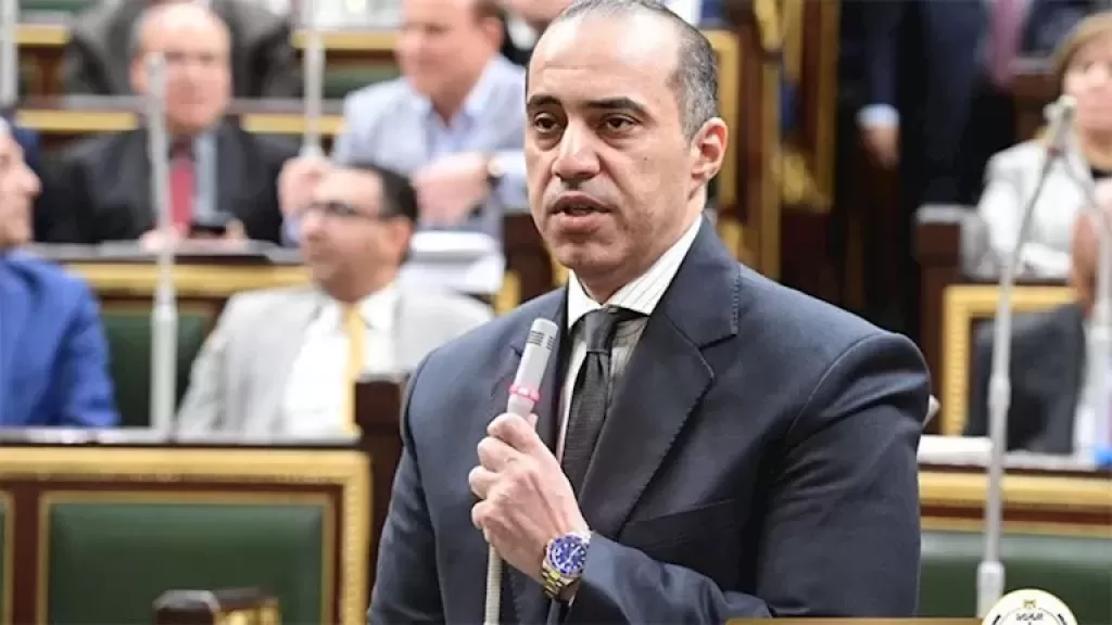 المستشار محمود فوزي