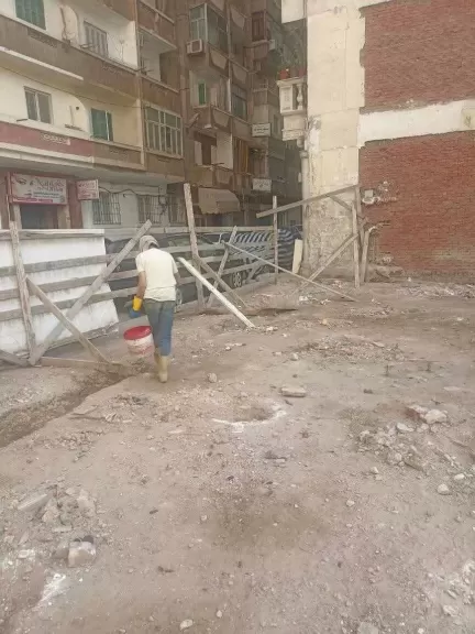 زراعة الإسكندرية تطلق حملة مكثفة لمكافحة النمل الأبيض بنطاق حي شرق
