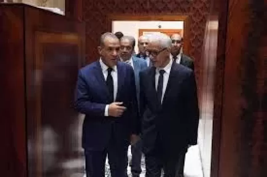 الخارجية المصرية تؤكد على تطوير العلاقات الثنائية بين البلدين في كافة المجالات