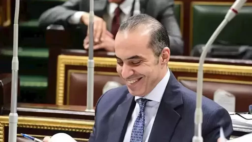 محمود فوزي: تحقيق التنمية المستدامة يتطلب تكاملاً فعّالاً بين جهود القطاع الحكومي