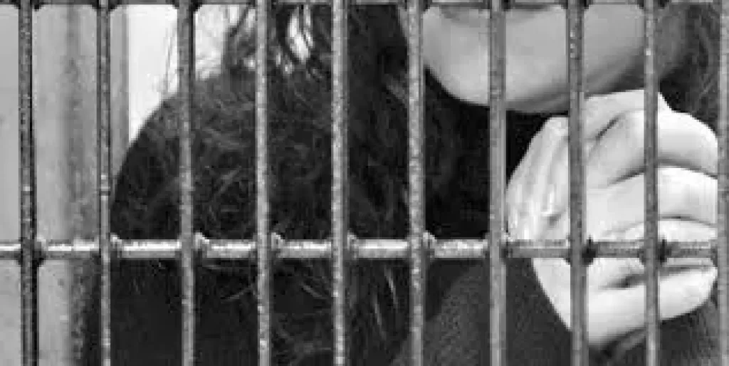 عشان ترجع لزوجها.. القبض على السيدة المتهمة بضرب ابنتها حتى الموت في قنا
