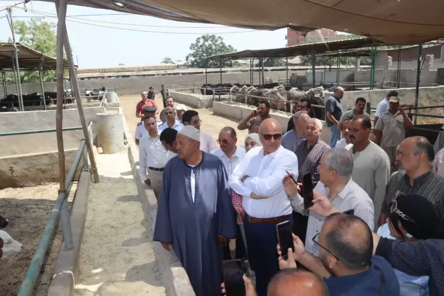 محافظ القليوبية يتفقد مزرعة متخصصة فى تربية الثروة الحيوانية بقرية العمار بطوخ