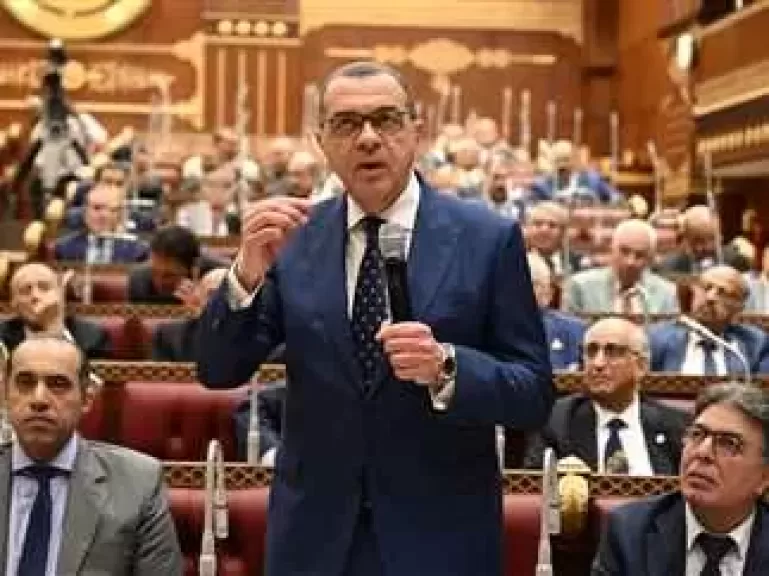”المالية” أمام ”مجلس الشيوخ” : رفع حد الإعفاء من الضريبة العقارية إلى 4 ملايين جنيه قريبًا
