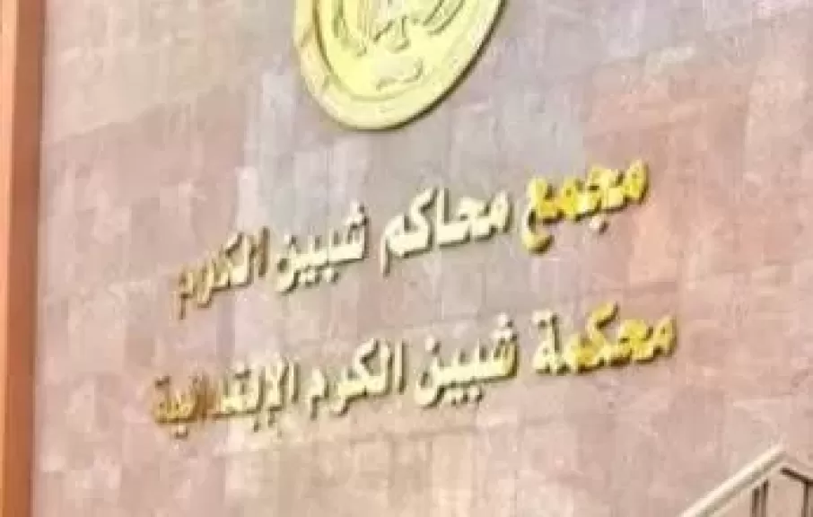 إحالة أوراق المتهم بقتل سائق توك توك بقرية البرانقة بالمنوفية للمفتي