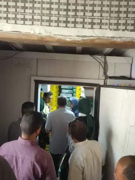 قبل عيد الأضحى.. ضبط أكثر من 10 طن دواجن مجمده ومواد غذائية مجهولة المصدر بالقليوبية