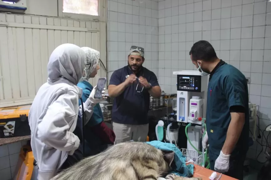 استعدادا لافتتاحها.. التحالف الوطني يستعين بأفضل الخبرات الدولية والمحلية لرعاية الحيوانات بحديقة الحيوان