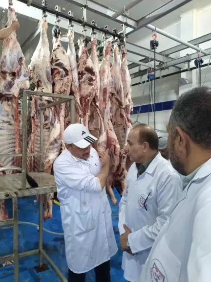 بيطري الشرقية يذبح 1129 أضحية بالمجان في أول أيام عيد الأضحى