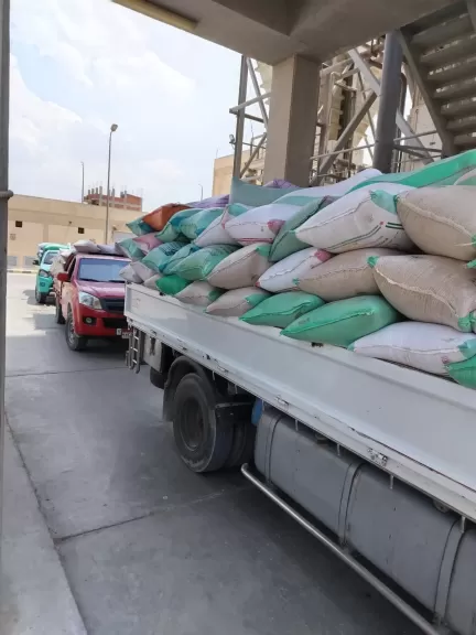 محافظ البحيرة: توريد 307 آلاف طن قمح محلى إلى الشون والصوامع