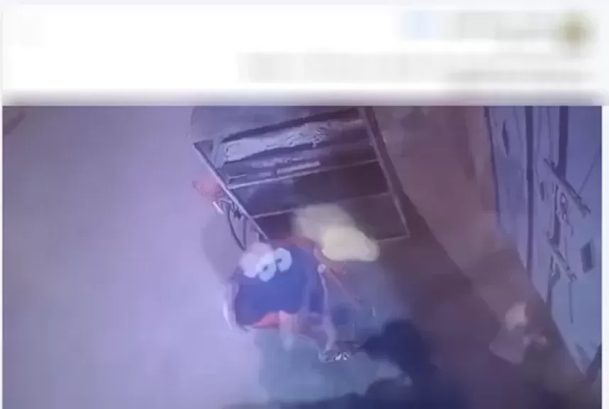 التعدى على قطة