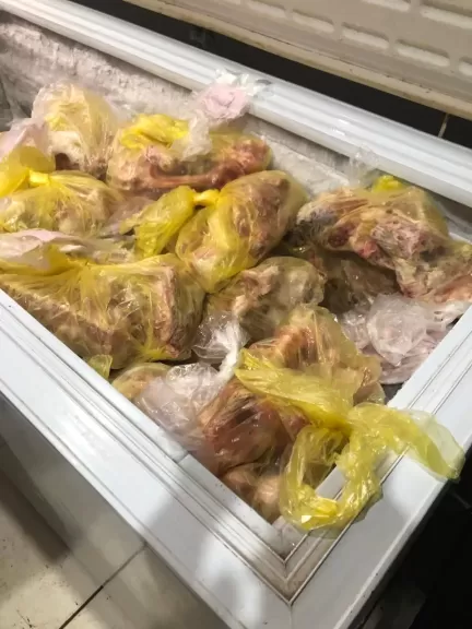 ضبط 600 كيلو منتجات لحوم مجهولة المصدر بأحد المطاعم الشهيرة الغير مرخصه ببنها