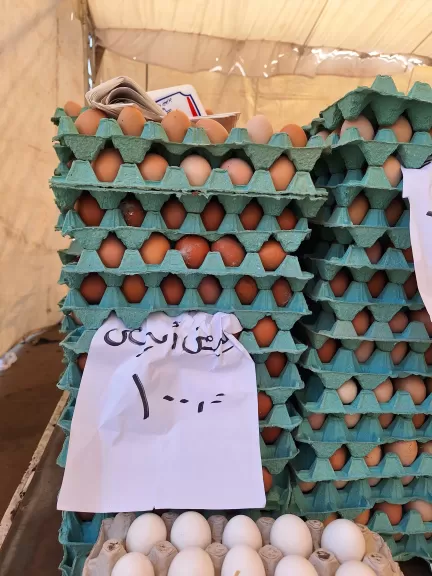 استمرار انطلاق أسواق اليوم الواحد الجمعة والسبت