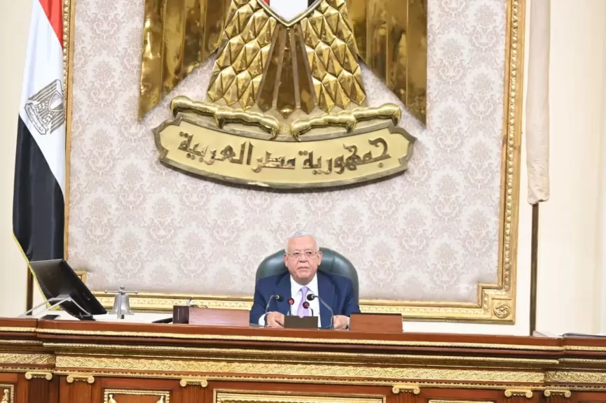 رئيس ”النواب” يحذر من محاولات تنظيم مسيرات إلى المناطق الحدودية المصرية دون تنسيق