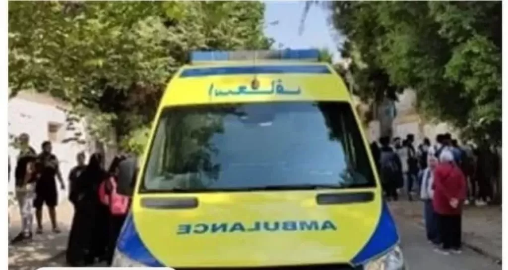 حديث الولادة.. العثور على رأس رضيع ملقاة داخل الزراعات في قنا