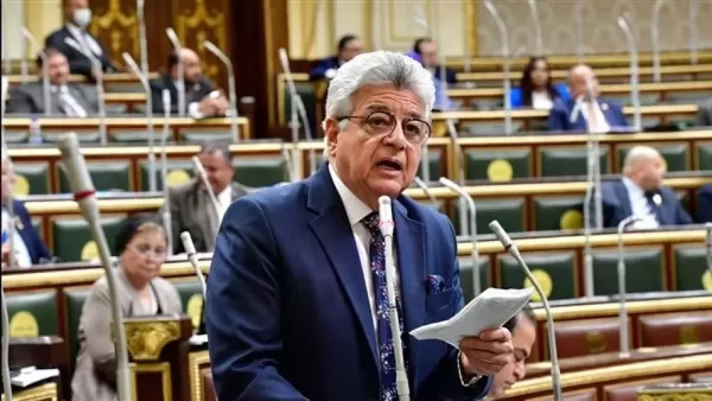 برلماني: نحن في خندق واحد، نواجه بكل حزم المخططات التي تسعى للنيل من استقرار مصر وأمنها
