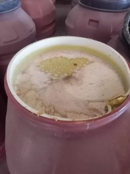 ”تموين الغربية” يصادر 3.5 طن مخللات فاسدة ومواد غذائية مجهولة المصدر في حملة بمركز السنطة