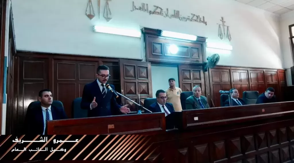 المؤبد لسائق توك توك و5سنوات لشقيقه قتلا جارهم في سمنود