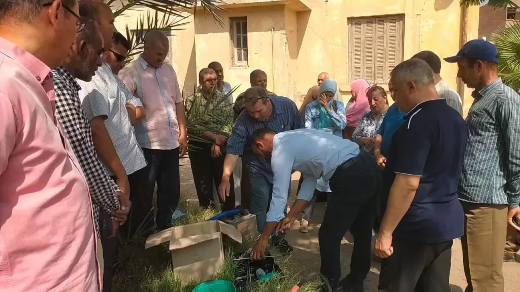 الفيوم تكافح سوسة النخيل الحمراء بدورة تدريبية متطورة