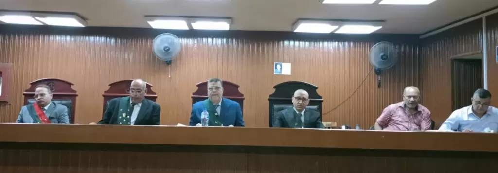 حيازة أسلحة نارية وذخائر.. تقود عاملين للسجن المشدد 5 سنوات بالـجيزة