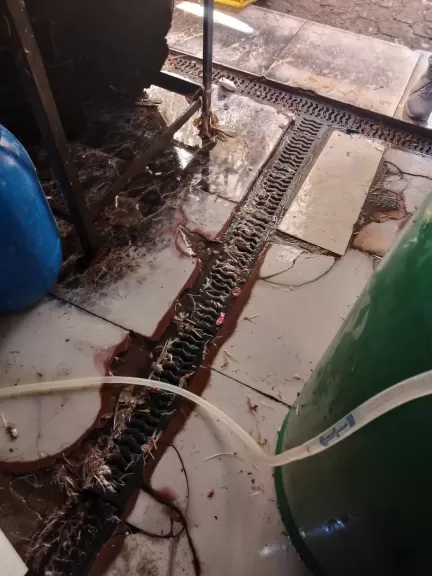 ضبط 280 كيلو اوراك غير مطابقة للمواصفات داخل أحد المحال بطوخ