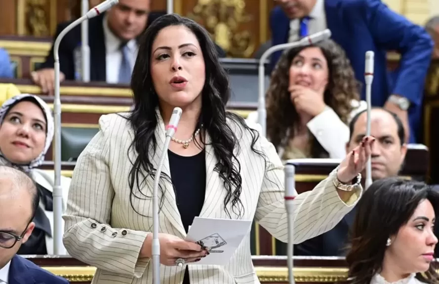 النائبة مرثا محروس: سبع سنوات من الانتماء والفخر... التنسيقية أثبتت أن الشباب ليسوا فقط مستقبل الوطن، بل حاضره