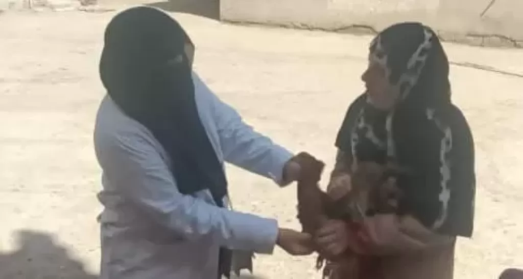 تحصين أكثر من 117 ألف طائر بكفر الشيخ خلال شهر يونيو