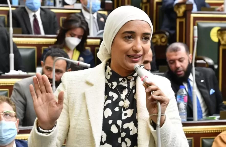 النائبة أميرة أبوشقة، عضو مجلس النواب