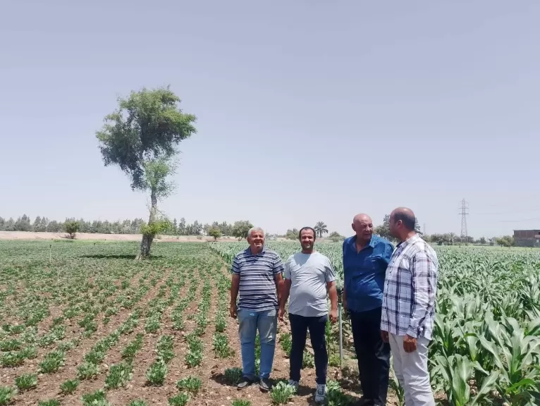 محافظ أسيوط: متابعة دورية للمحاصيل الصيفية لدعم الأمن الغذائي وتحقيق التنمية المستدامة