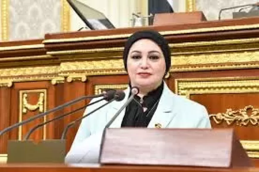 وكيل قوى النواب لـ«النهار»: قانون العمالة المنزلية ضرورة تشريعية.. ونتوقع تقديمه من الحكومة خلال أيام| حوار
