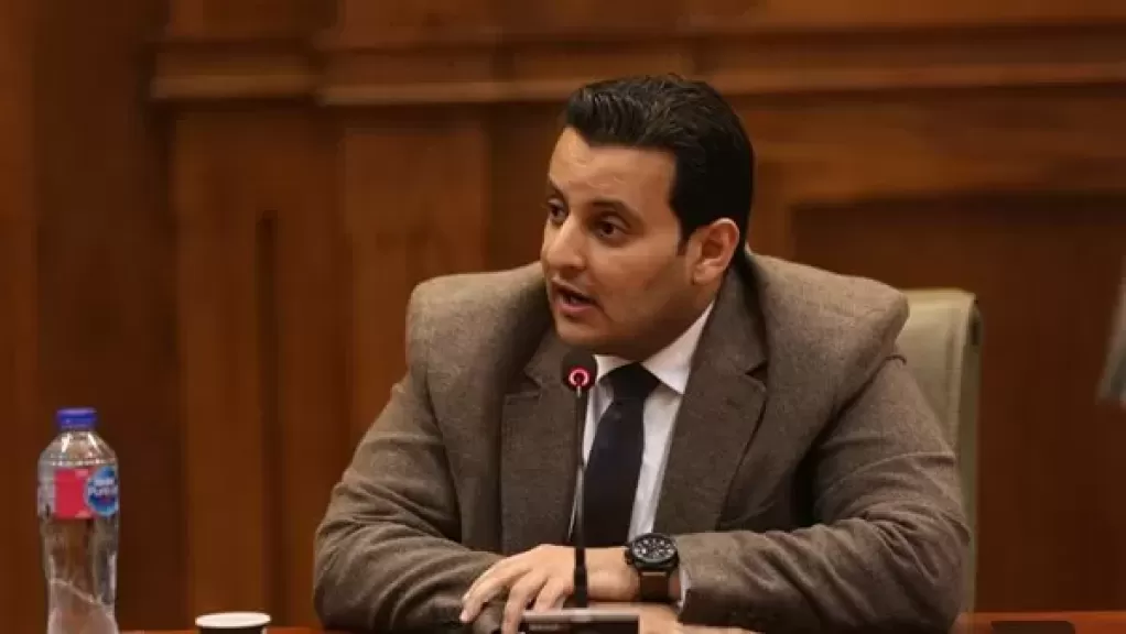 برلماني: ثورة 30 يونيو أنقذت مصر من فوضى محققة وأرست دعائم دولة قوية