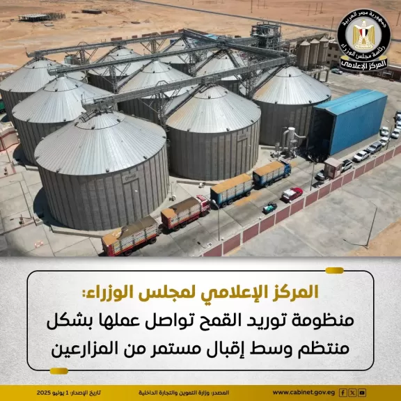 معلومات الوزراء: منظومة توريد القمح تواصل عملها بشكل منتظم وسط إقبال مستمر من المزارعين