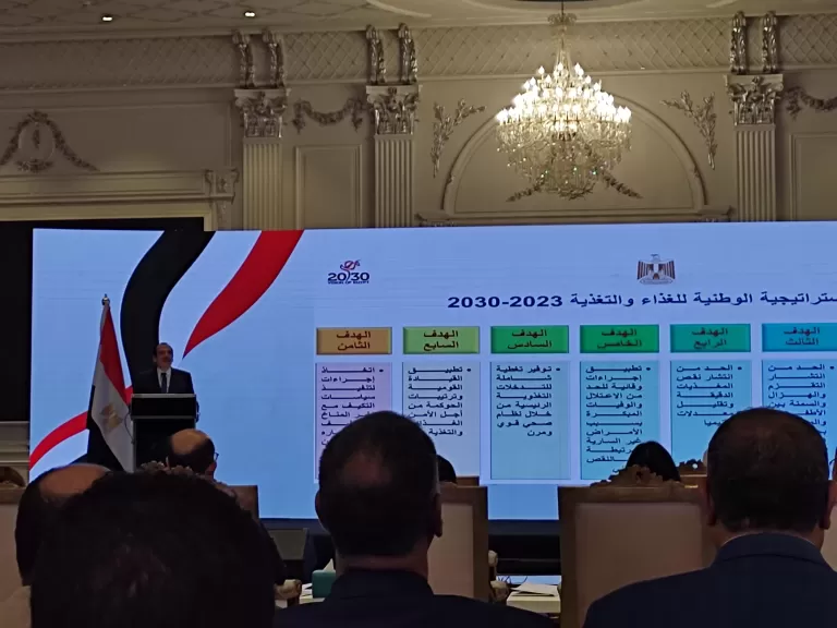 عمرو قنديل: الخطة التنفيذية لنظام الغذاء والصحة هي خطة الدولة بالتعاون مع كافة الوزارات