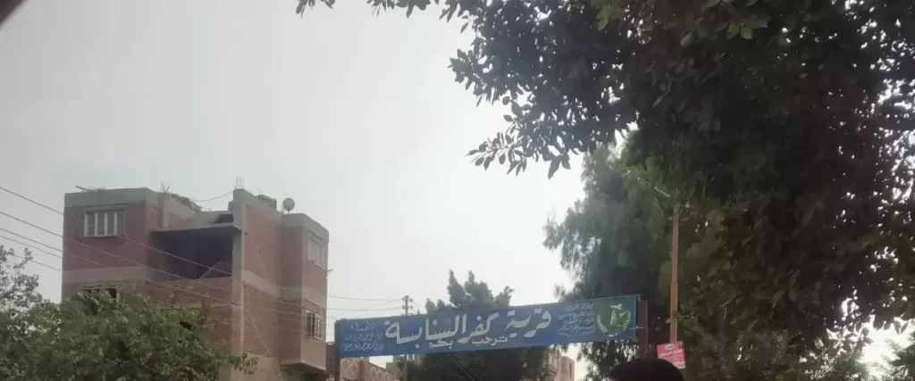 الصحة: تقديم الدعم النفسي لـ146 من أسر ضحايا ومصابي حادث الطريق الإقليمي بالمنوفية