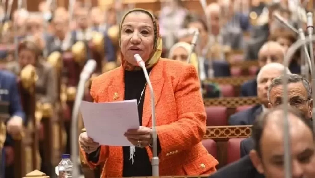 برلمانية: 3 يوليو يوم انتصر فيه الشعب على قوى الظلام والتطرف
